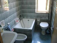 wc/bathtub/bidet
