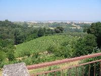 what it is looked at from the terrace