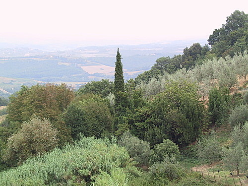 Vista panoramica dalla nostra terrazza inserita su Google Earth- 2 - Panoramio